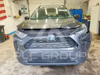 2019 Toyota RAV4 фото
