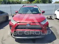2019 Toyota RAV4 фото