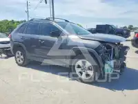 2019 Toyota RAV4 photo