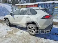 2019 Toyota RAV4 фото