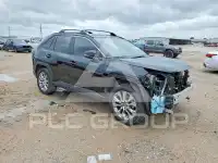 2019 Toyota RAV4 photo