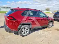 2019 Toyota RAV4 фото