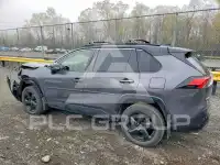 2019 Toyota RAV4 photo