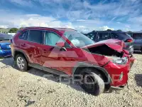 2019 Toyota RAV4 фото