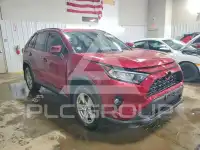 2019 Toyota RAV4 photo