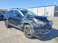 2019 Toyota RAV4 фото