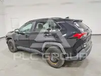 2019 Toyota RAV4 photo