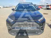 2019 Toyota RAV4 photo