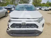 2019 Toyota RAV4 фото