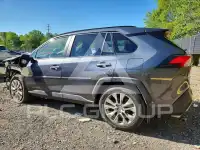 2019 Toyota RAV4 photo