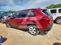 2019 Toyota RAV4 фото