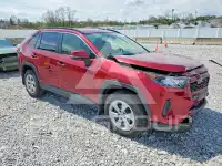 2019 Toyota RAV4 фото