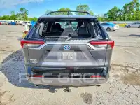 2019 Toyota RAV4 фото