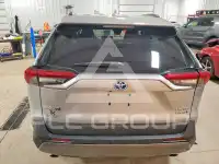 2019 Toyota RAV4 фото