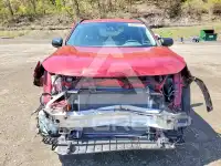 2019 Toyota RAV4 фото