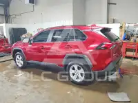 2019 Toyota RAV4 photo