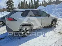 2019 Toyota RAV4 фото