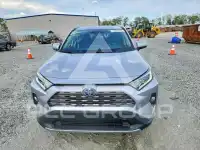 2019 Toyota RAV4 фото