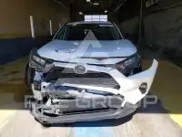 2019 Toyota RAV4 photo