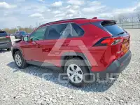 2019 Toyota RAV4 фото