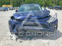 2019 Toyota RAV4 фото