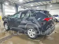 2019 Toyota RAV4 фото