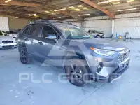 2019 Toyota RAV4 photo