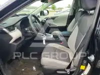 2019 Toyota RAV4 фото