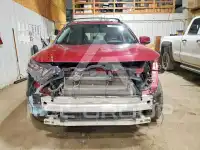 2019 Toyota RAV4 фото