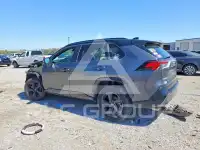 2019 Toyota RAV4 photo
