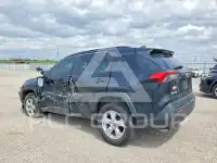 2019 Toyota RAV4 фото