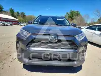 2019 Toyota RAV4 фото
