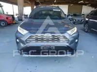 2019 Toyota RAV4 photo