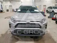 2019 Toyota RAV4 фото