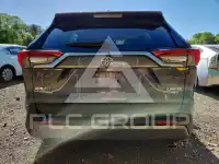 2019 Toyota RAV4 photo