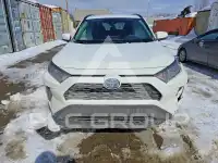 2019 Toyota RAV4 фото
