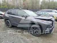 2019 Toyota RAV4 photo