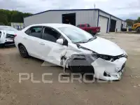 2019 Toyota COROLLA photo