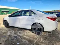 2019 Toyota COROLLA фото