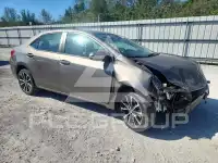 2019 Toyota COROLLA фото