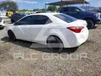 2019 Toyota COROLLA photo
