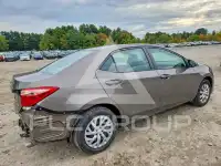 2019 Toyota COROLLA фото