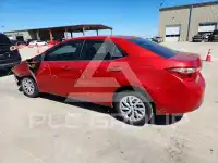 2019 Toyota COROLLA фото
