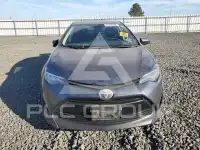2019 Toyota COROLLA photo