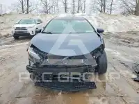 2019 Toyota COROLLA photo