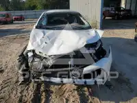 2019 Toyota COROLLA photo