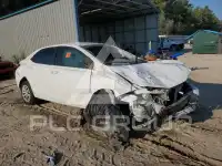 2019 Toyota COROLLA photo
