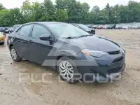2019 Toyota COROLLA photo