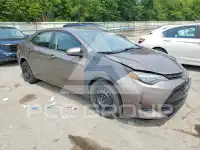 2019 Toyota COROLLA фото