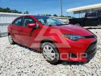 2019 Toyota COROLLA photo